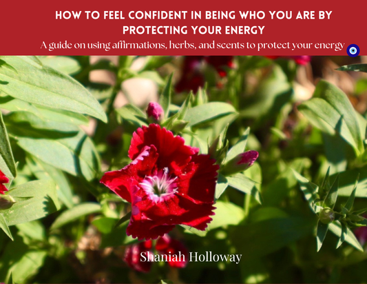 How To Feel Confident In Being Who You Are & How to Protect Your Energy Ebook